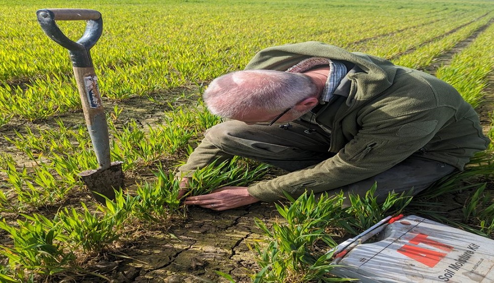 David Blacker (Strategic Cereal Farm North) inspecting moist soil